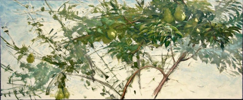 <em>Garden, Pear Tree,</em> 24 x 48 inches, oil on panel