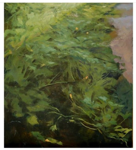 <em>Garden, Squash Plant,</em> oil on panel